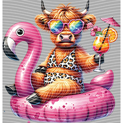 Cow-NIU 2406